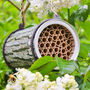 Hanging Log Effect Garden Bee Nester, thumbnail 1 of 5