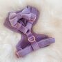 Lilac Velvet Dog Harness, thumbnail 2 of 4