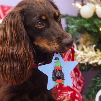 Elf Dog Personalised Christmas Decoration, 12 of 12