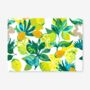 Placemats With Spanish Citrus Garden Design, thumbnail 1 of 2