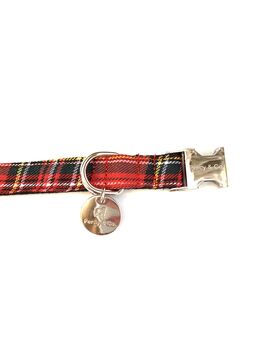 Christmas Tartan Dog Collar And Festive Lead Gift Set, 3 of 7