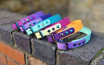 Waterproof Biothane® Two Coloured Dog Collar, 5 of 10