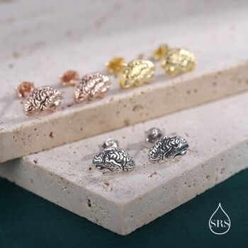 Anatomical Brain Stud Earrings In Sterling Silver, 3 of 11