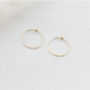 Gold Filled Hammered Hoop Earrings, thumbnail 2 of 6