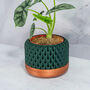 Forest Ananas Planter, thumbnail 2 of 4