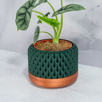 Forest Ananas Planter, 2 of 4