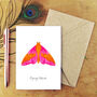 Rosy Maple Moth A6 Greetings Cards, thumbnail 1 of 7