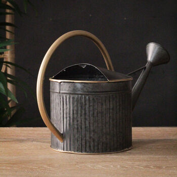 Metal Grey And Gold Watering Can, 4 of 5