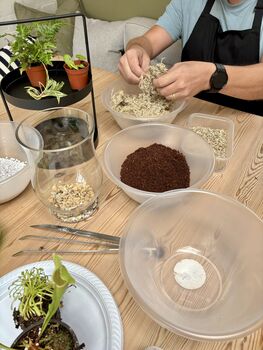 Carnivorous Plant Terrarium Workshop, Manchester, 6 of 12