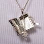 Fantastic Beasts Sterling Silver Newts Case Locket With Nifler Pendant, thumbnail 2 of 7