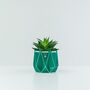 Origami Self Watering Eco Plant Pot: 10cm | Sea Waste, thumbnail 9 of 11