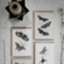 Vintage Butterfly Card Set – Mixed Pack Of Four, thumbnail 2 of 10