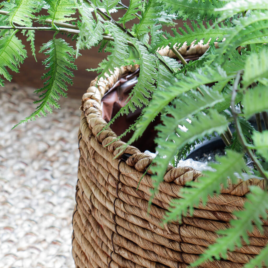 Natural Woven Basket Planter By Marquis & Dawe