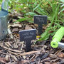 Funny Slate Plant Markers Set Of Six, thumbnail 2 of 6