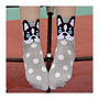 Top Dog Box Of Socks, thumbnail 8 of 9