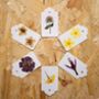 10 Pressed Flower Gift Tags Assorted Set, thumbnail 1 of 3