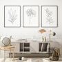 Set Of Three Black And White Floral Line Art Prints, thumbnail 1 of 5