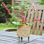 Personalised Ceramic Tripod Face Planter With Leaves, thumbnail 3 of 8