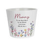 Personalised Floral Birthday Plant Pot, thumbnail 4 of 4