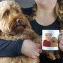 Personalised Dog Mum Gift Mug, thumbnail 3 of 12