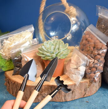 Glass Globe Terrarium Kit With Succulent Or Cactus Gift, 6 of 10