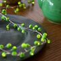 Green Berry String Lights, thumbnail 2 of 3