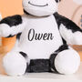 Personalised Cuddly Toy For Children's Gift Pet Present, thumbnail 2 of 3