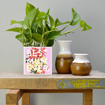 'Best Mum Ever' Mother's Day Plant Pot And Houseplant, 5 of 7