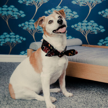 Dog Bow Tie, 6 of 12