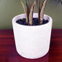 40cm Artificial Mini Tropical Palm In Planter, thumbnail 2 of 3