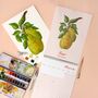 2025 Fruit Illustration Wall Calendar, thumbnail 5 of 12