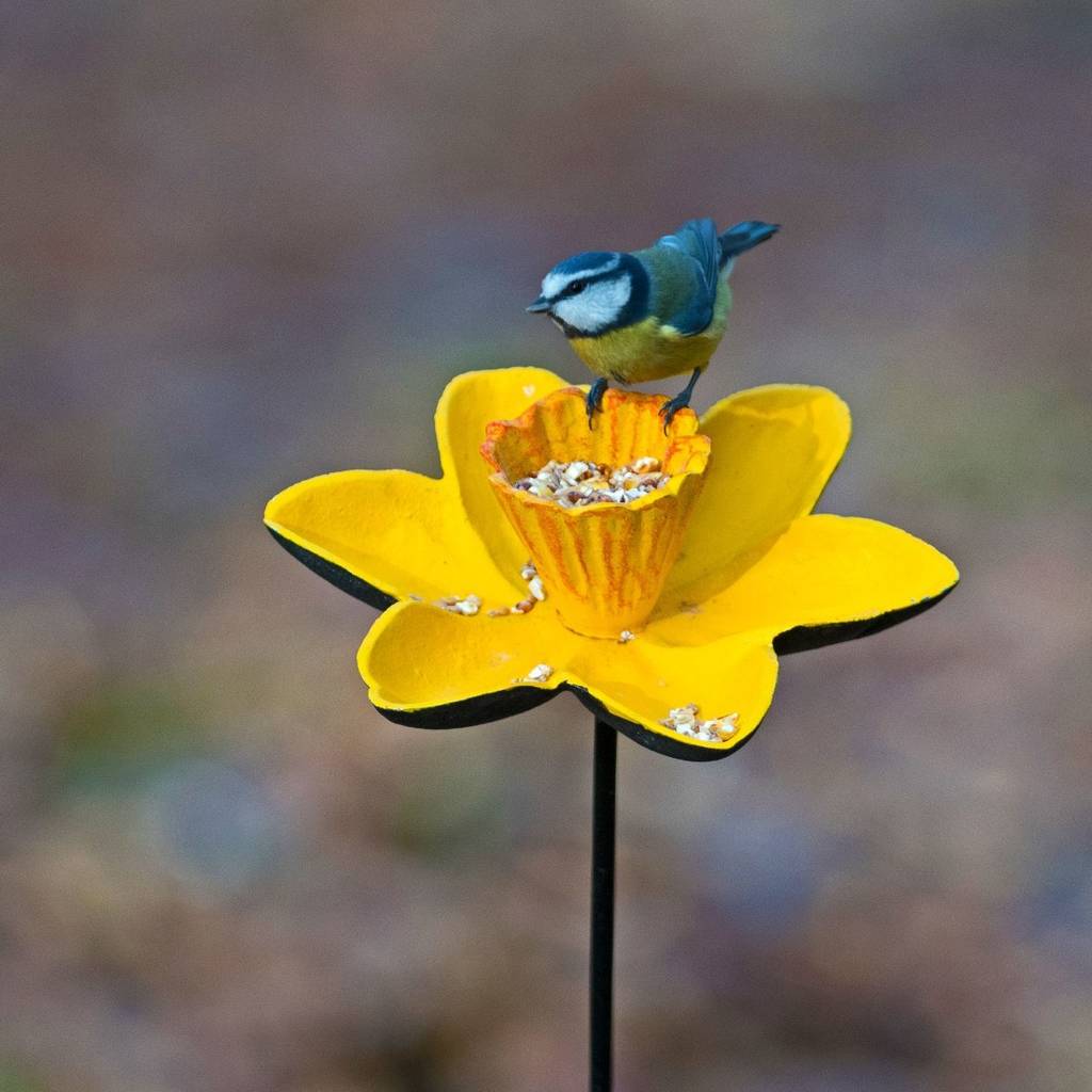 Cast Iron Daffodil Bird Feeder Garden Ornament, 1 of 7