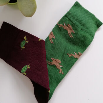 Tortoise And Hare Men's Socks, 3 of 4