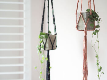 Eco Friendly Popcorn Knot Macrame Plant Hanger, 6 of 7