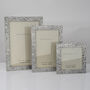 Hedgerow Cast Pewter Photo Frame, thumbnail 2 of 8