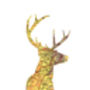 Personalised Stag Map Print, thumbnail 4 of 5
