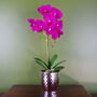 Pink Orchid Artificial Dark Silver 50cm Real Touch, thumbnail 1 of 3