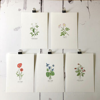 Set Of Wildflower Botanical A5 Giclée Art Prints, 6 of 6