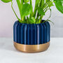 Midnight Trilinear Planter, thumbnail 1 of 4