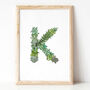 Illustrated Succulent Initial Print, thumbnail 4 of 4