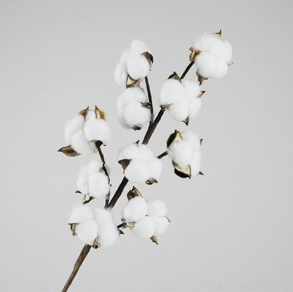 Cotton Flower Stems Three Stems 52cm By Mrswicker