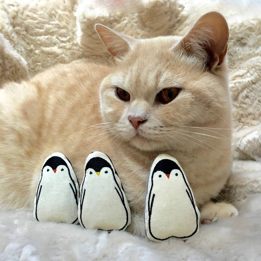 Catnip Toys, Penguins X Three Cat Toys By Freak MEOWt