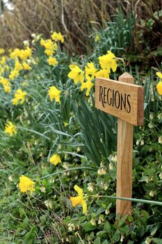 Engraved Oak Sign Post, 2 of 12