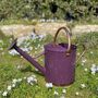 Perfectly Purple With Copper Trim Watering Can Duo, thumbnail 3 of 9