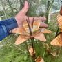 Set Of Two Copper Lily Flower Garden Stakes – Outdoor Garden Art, thumbnail 5 of 6