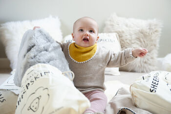 The Original Merino Sheepskin Pram Liner, 10 of 11