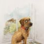 Personalised Pet Portrait Illustration, thumbnail 5 of 10
