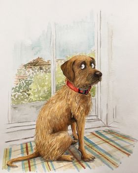 Personalised Pet Portrait Illustration, 5 of 10