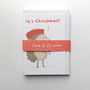 'Forget Hibernation Hedgehog' Christmas Card, thumbnail 2 of 3