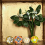 Ceramic Denton Knob Set Of Six, thumbnail 4 of 9